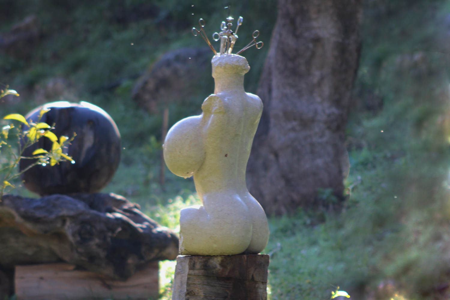 Gekaufte Schönheit